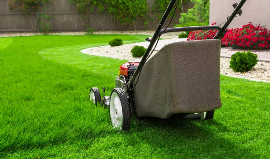 T.T.C LANDSCAPING