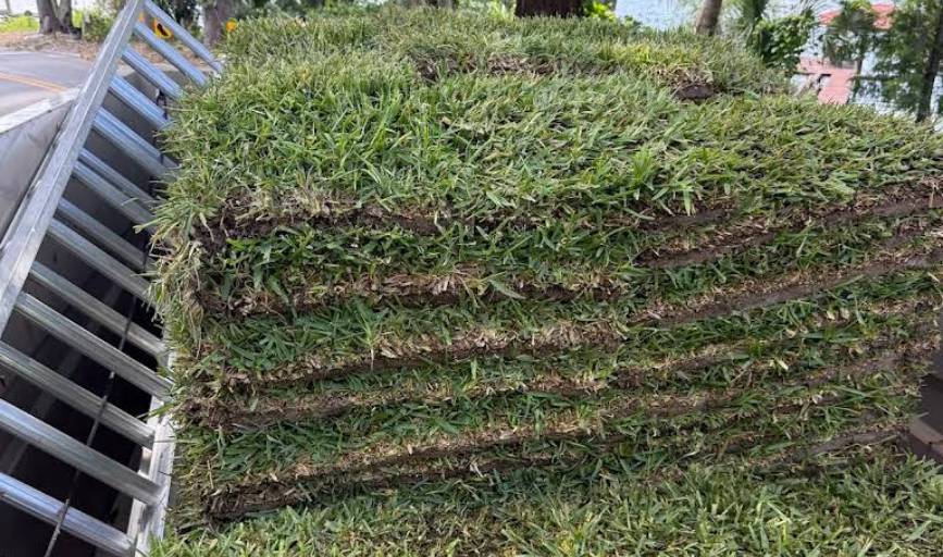 T.T.C LANDSCAPING